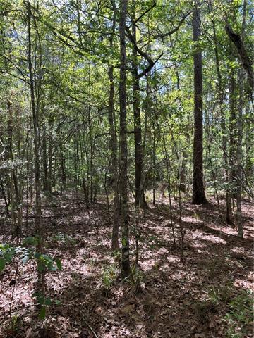 0 Bj Maurer Road Independence, LA 70443 - Photo 14 of 21