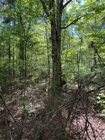 0 Bj Maurer Road Independence, LA 70443 - Photo 17 of 21