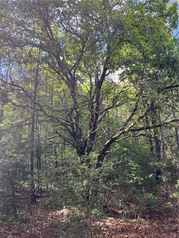 0 Bj Maurer Road Independence, LA 70443 - Photo 18 of 21