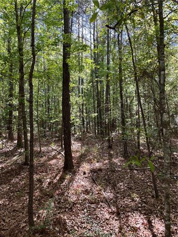 0 Bj Maurer Road Independence, LA 70443 - Photo 19 of 21