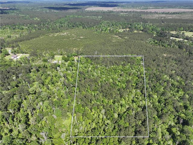 0 Bj Maurer Road Independence, LA 70443 - Photo 6 of 21