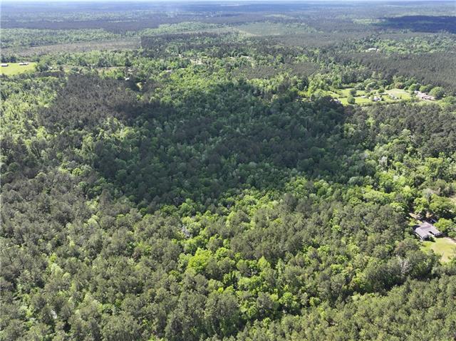 0 Bj Maurer Road Independence, LA 70443 - Photo 7 of 21