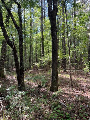 0 Bj Maurer Road Independence, LA 70443 - Photo 10 of 21