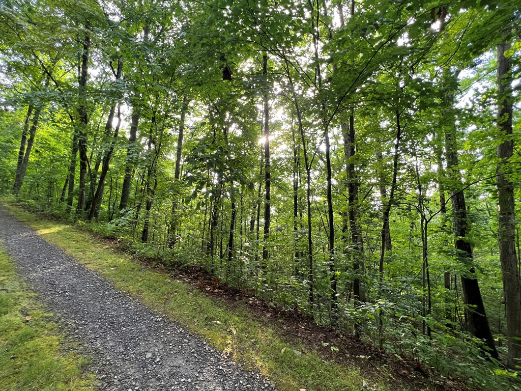 0 Laurel Drive Marble, NC 28905 - Photo 8 of 42
