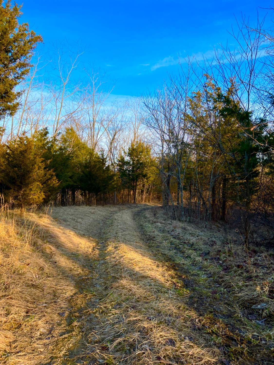 0 Ridgeland Road Manchester, OH 45144 - Photo 2 of 35