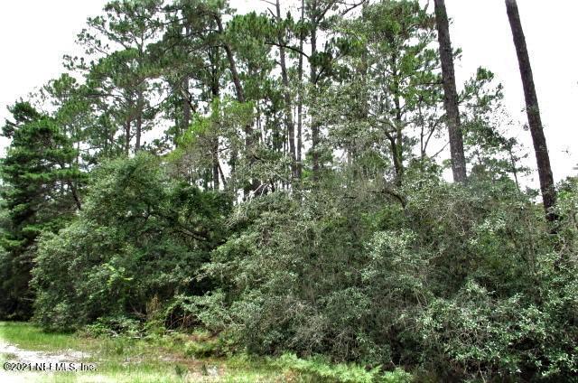 417 Whispering Pines Road Georgetown, FL 32139 - Photo 2 of 7 IMG_6209