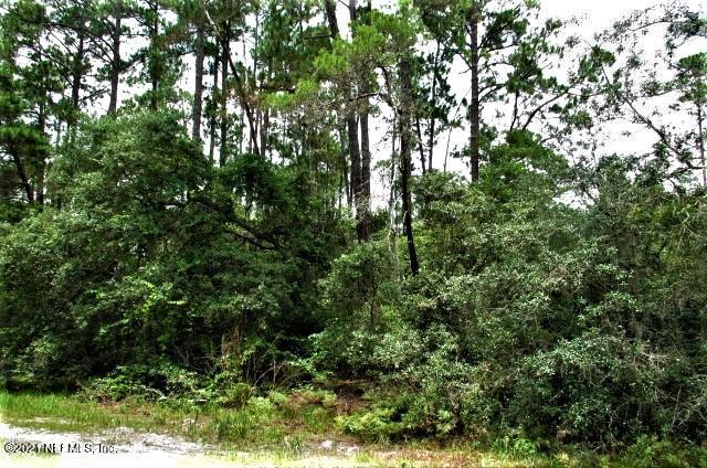 417 Whispering Pines Road Georgetown, FL 32139 - Photo 3 of 7 IMG_6211 (2)