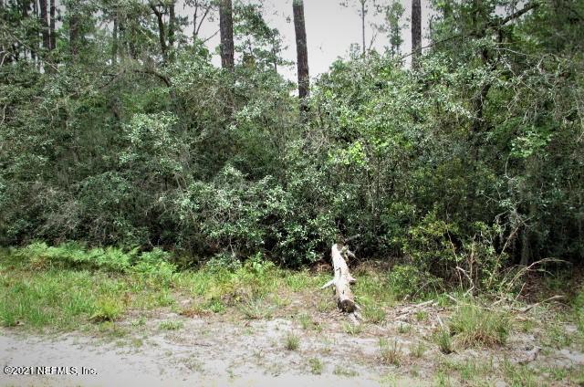 417 Whispering Pines Road Georgetown, FL 32139 - Photo 4 of 7 IMG_6208