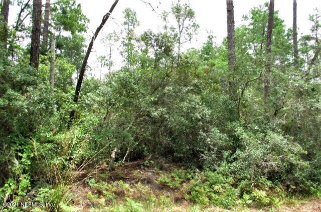 417 Whispering Pines Road Georgetown, FL 32139 - Photo 5 of 7 IMG_6212