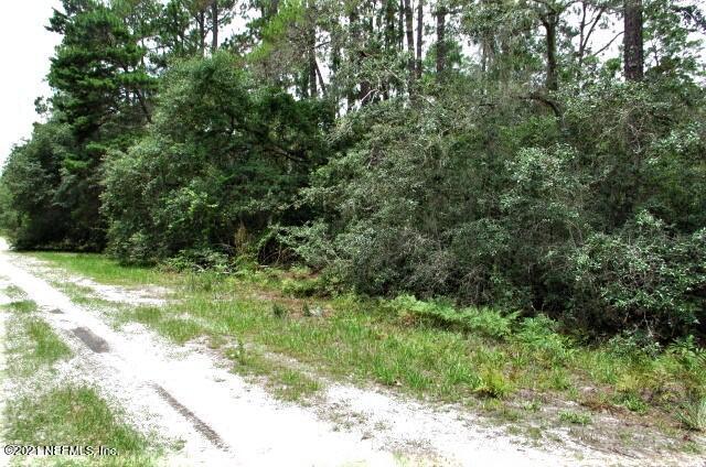 417 Whispering Pines Road Georgetown, FL 32139 - Photo 6 of 7 IMG_6210