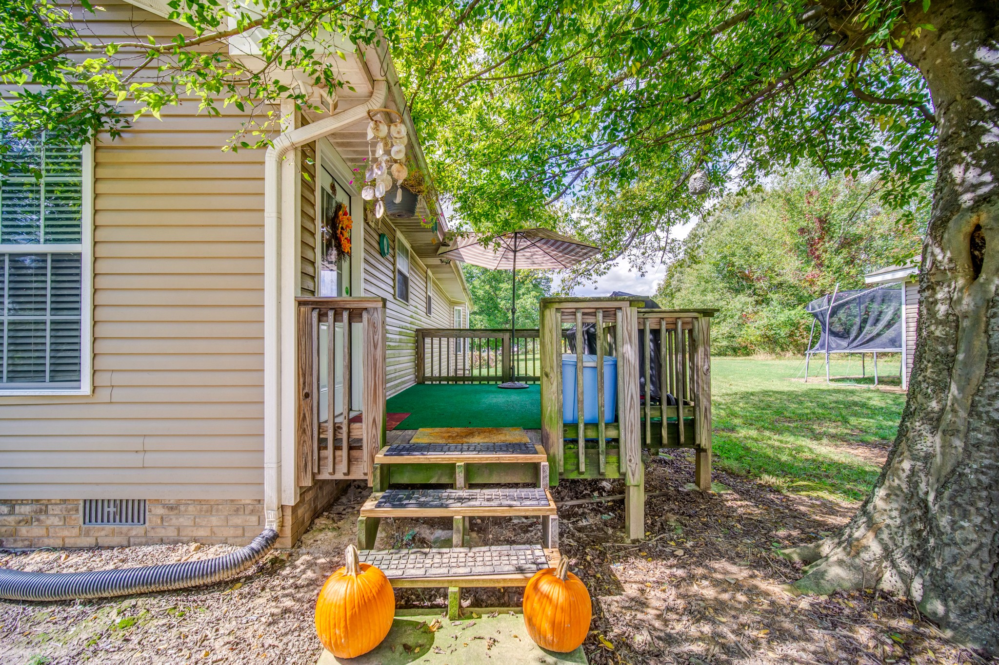 5407 Marion Road Cunningham, TN 37052 - Photo 30 of 35 a view of a backyard with table and chairs potted plants and large tree