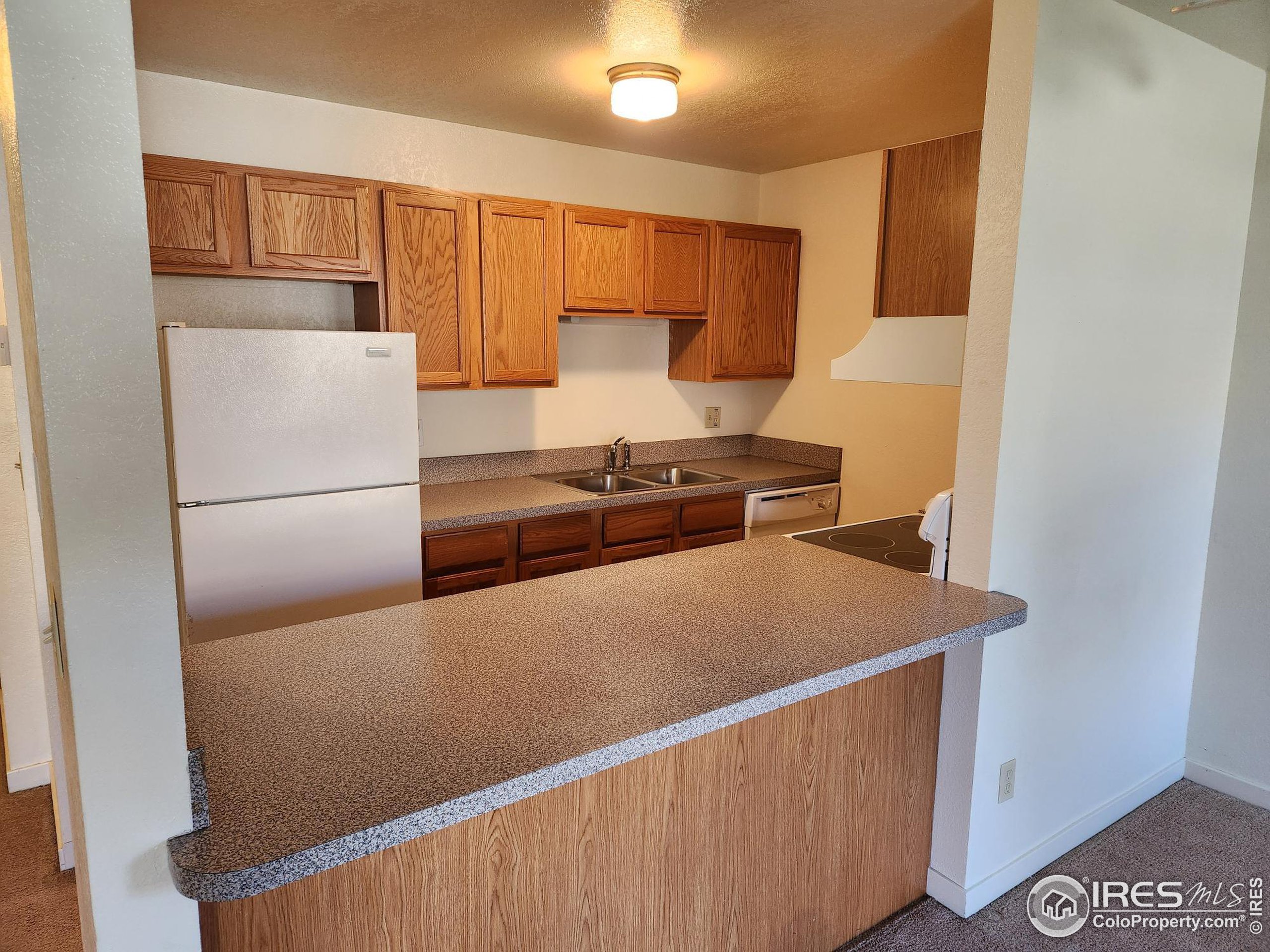 225 East 8th Ave Unit 2