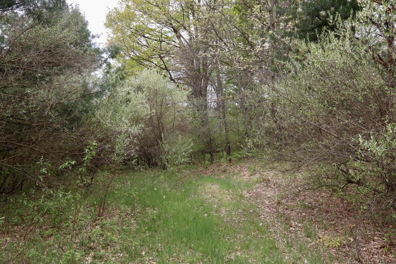 6153 South Branch Road Branch, MI 49402 - Photo 49 of 70 42