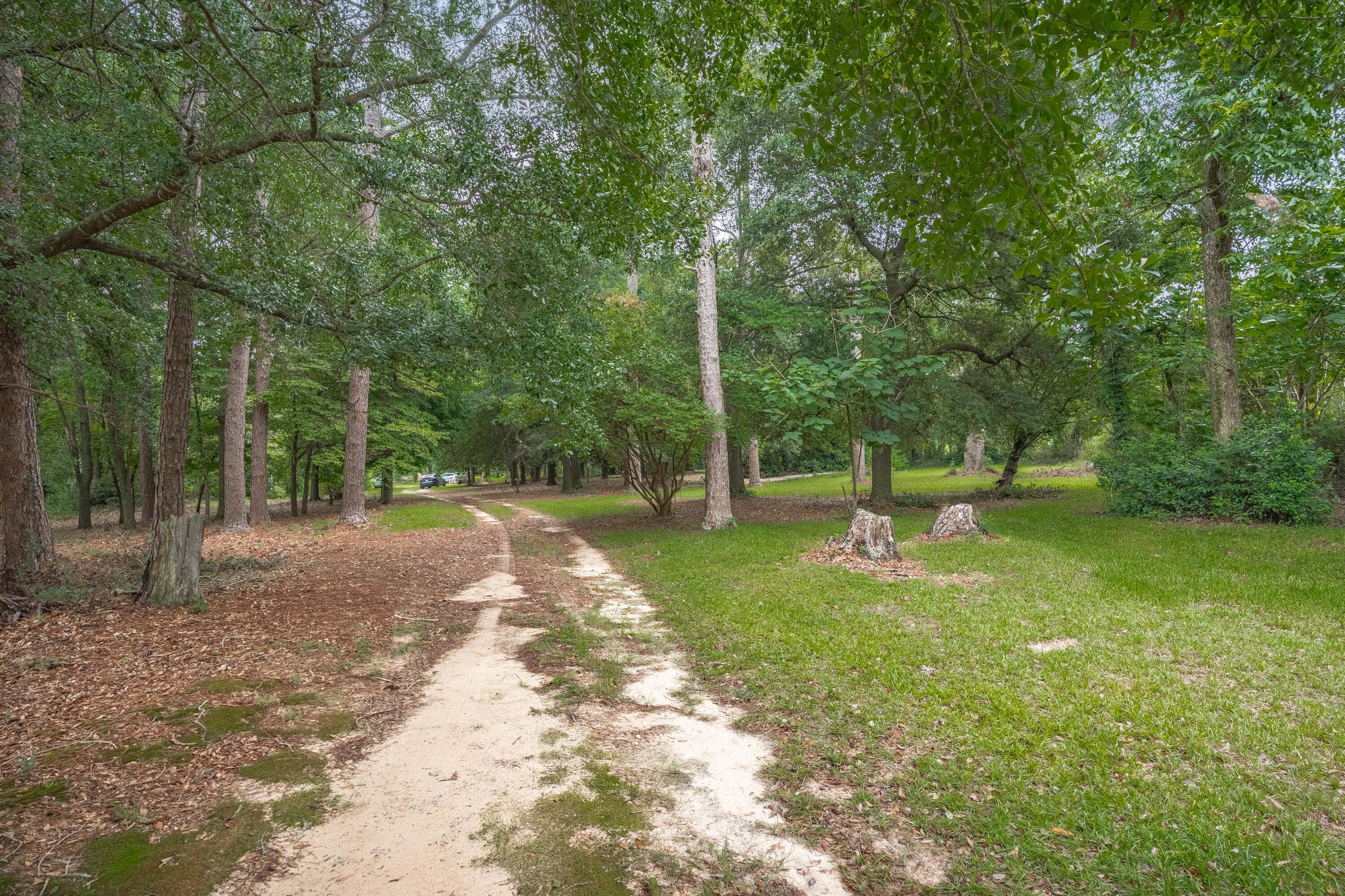 242 Hammond Road Beech Island, SC 29842 - Photo 14 of 68