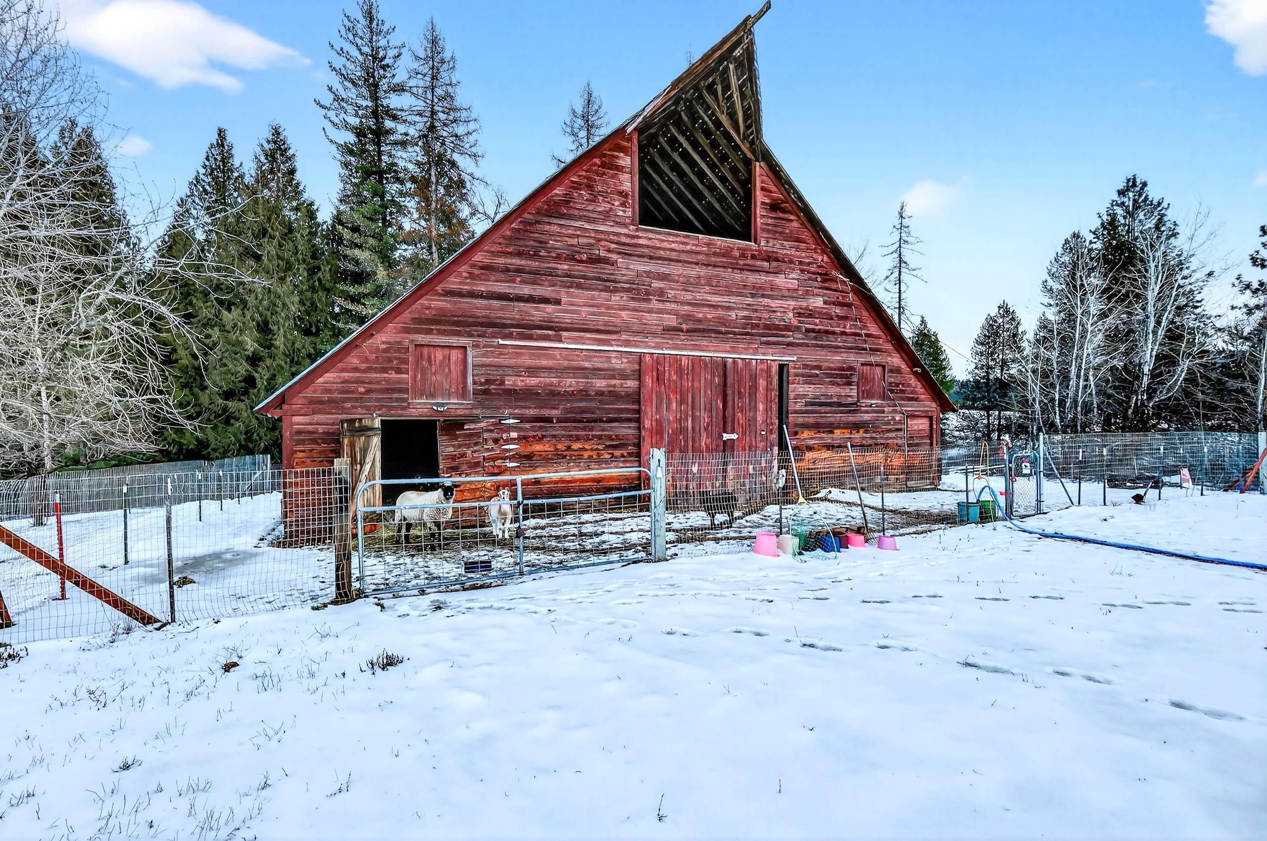 671 Baker Lake Road Newport, WA 99156 - Photo 47 of 50