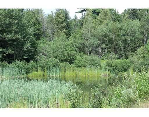 632 Bayside Road Ellsworth, ME 04605 - Photo 19 of 25 Yard/Garden. Small rear pond.......