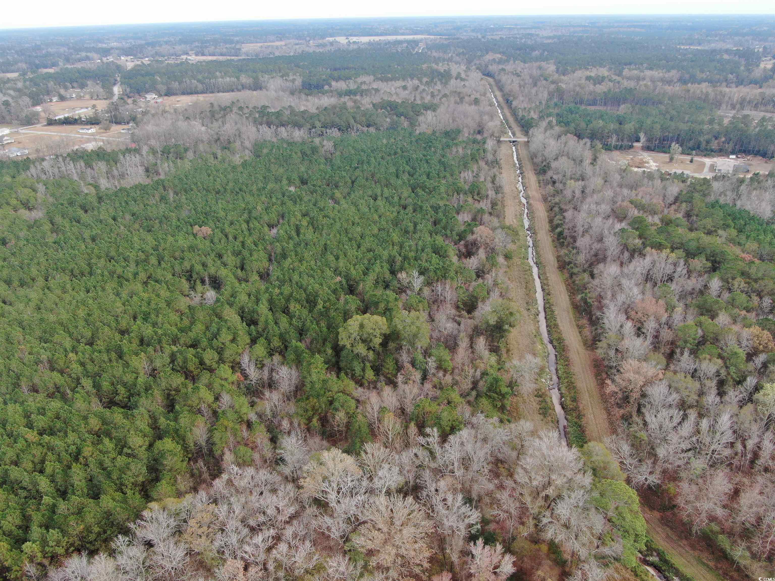 746 Highway 746 Loris, SC 29569 - Photo 5 of 26 Aerial view of property and surrounding area with a forest