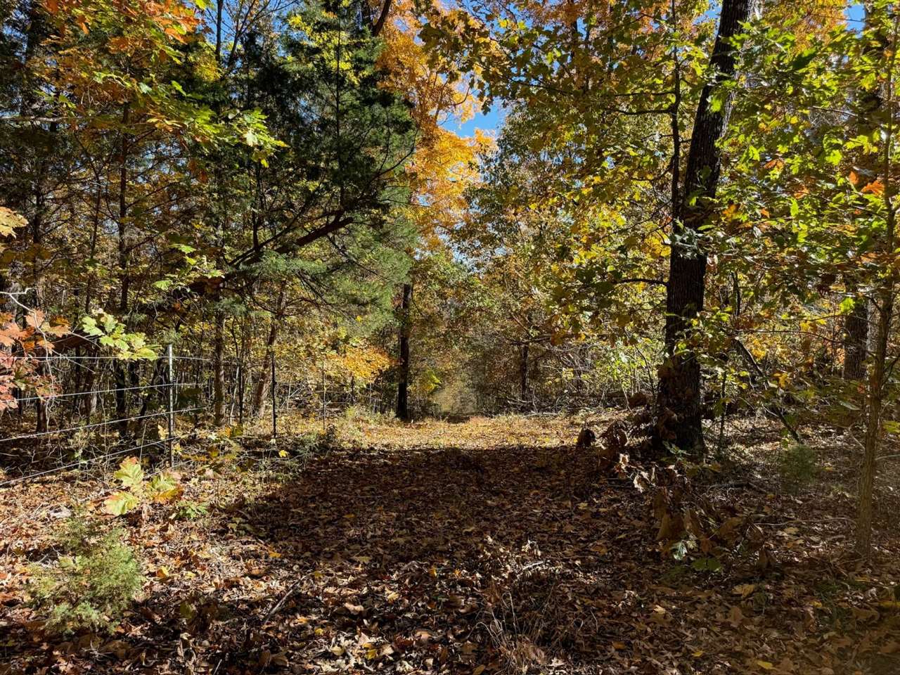 0 Blue Level Road Rockfield, KY 42274 - Photo 17 of 24 Gallery Image 17