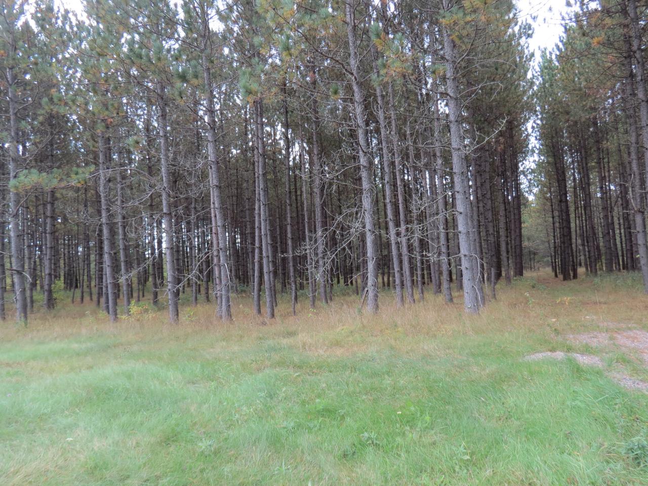 1287 Cth C Rhinelander, WI 54501 - Photo 8 of 8 Gallery Image 8