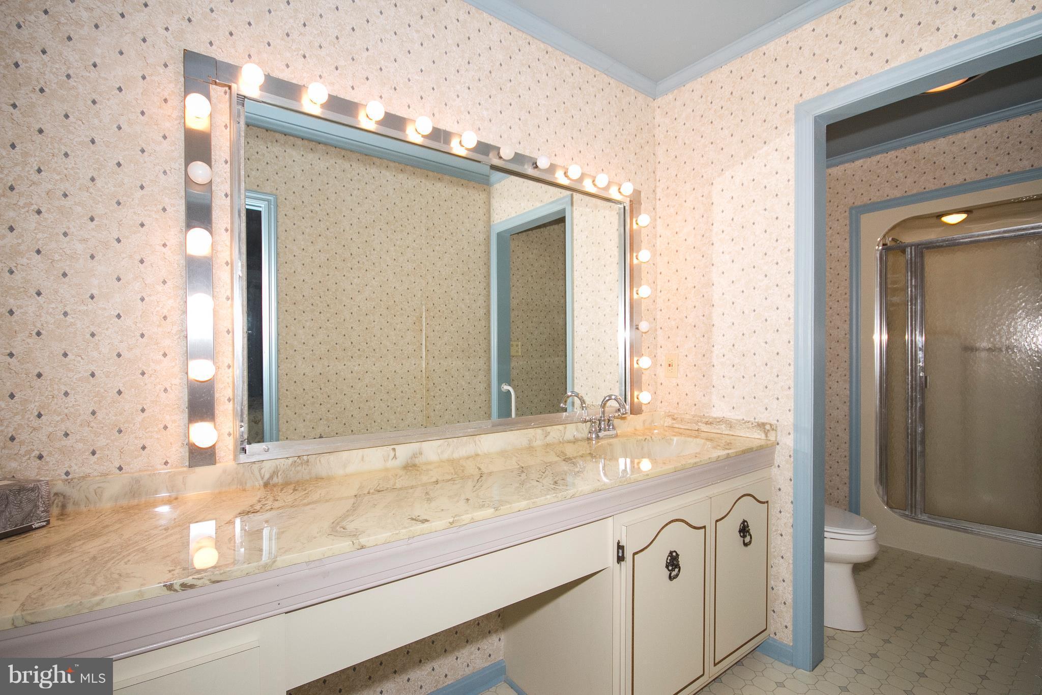 4708 Silver Spring Road Perry Hall, MD 21128 - Photo 29 of 30 Bath (Master)