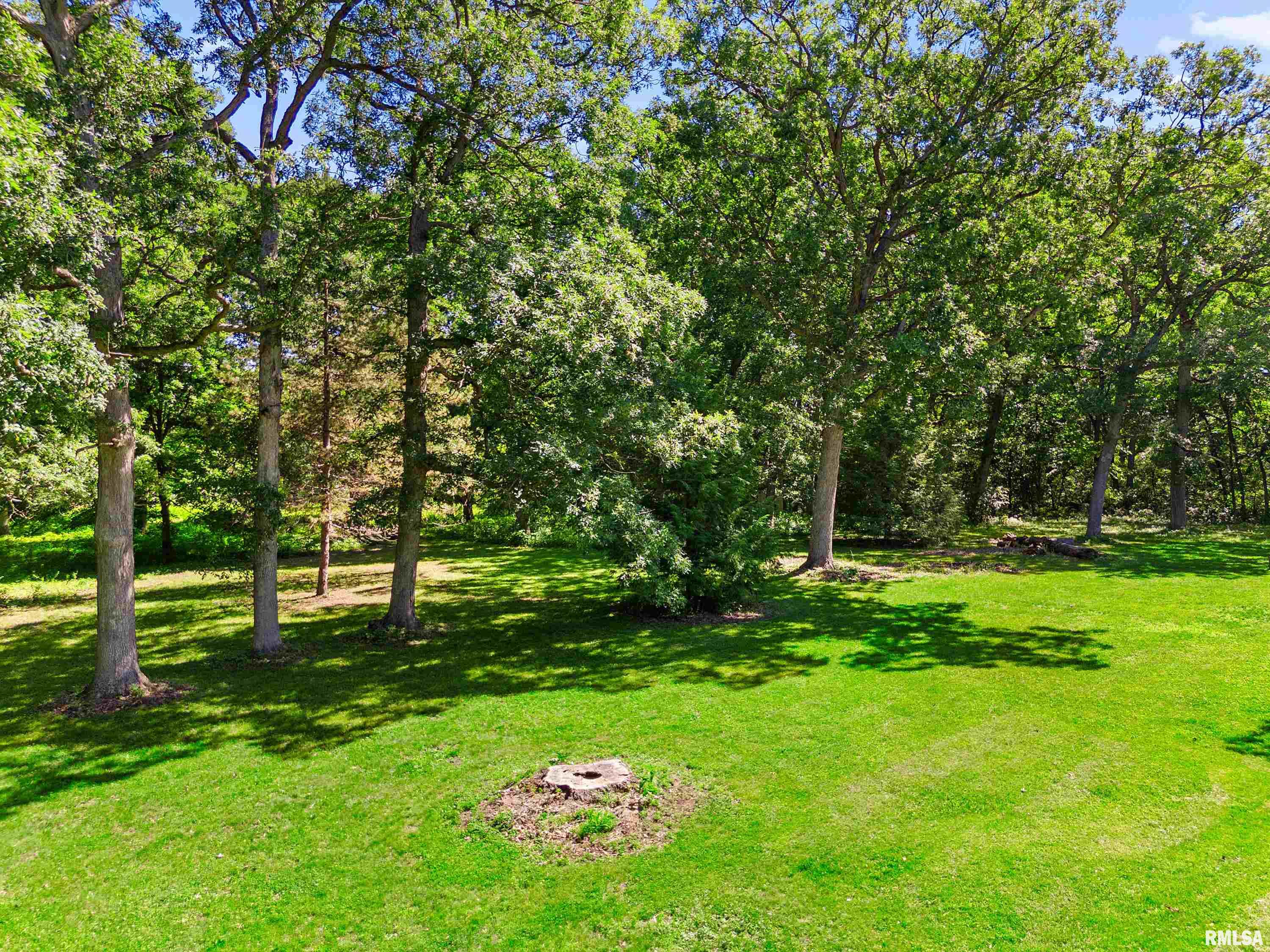 283 Fairview Washington, IL 61571 - Photo 7 of 46