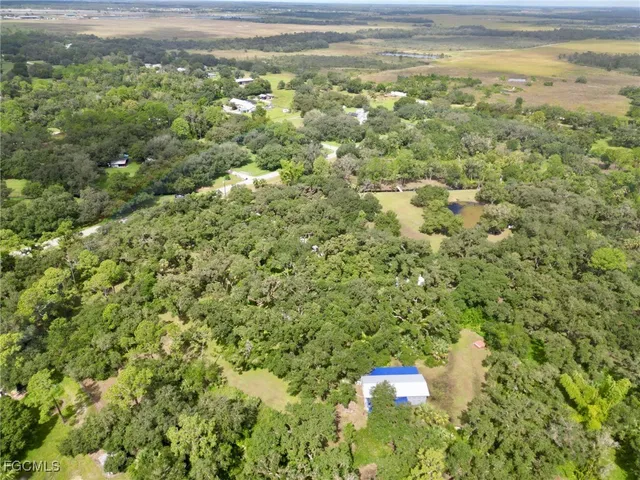 a view of a big yard with lots of bushes
