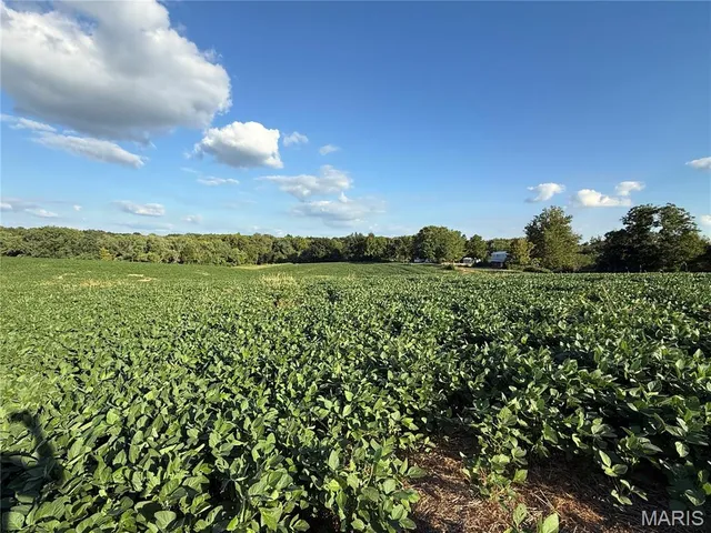 $520,000 | 0 Mm Road, Red Bud, IL 62278