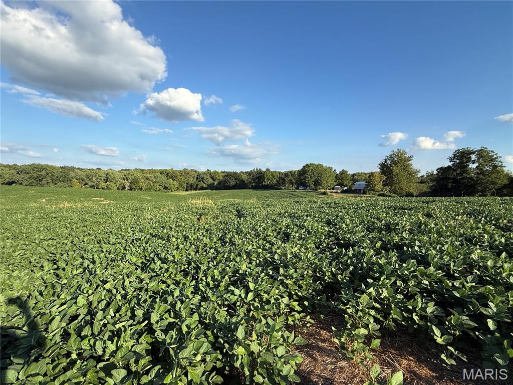 0 Mm Road Red Bud, IL 62278 - Photo 11 of 43