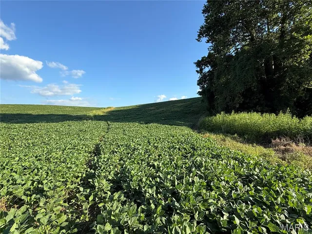 $520,000 | 0 Mm Road, Red Bud, IL 62278