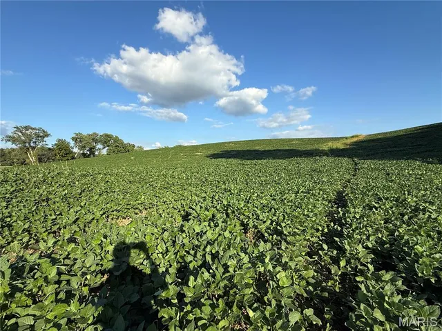 $520,000 | 0 Mm Road, Red Bud, IL 62278