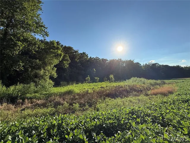 $520,000 | 0 Mm Road, Red Bud, IL 62278