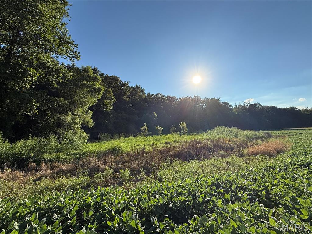 0 Mm Road Red Bud, IL 62278 - Photo 14 of 43