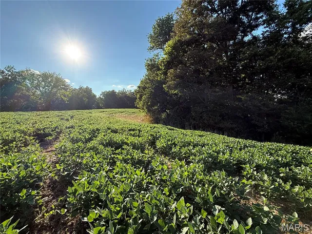 $520,000 | 0 Mm Road, Red Bud, IL 62278