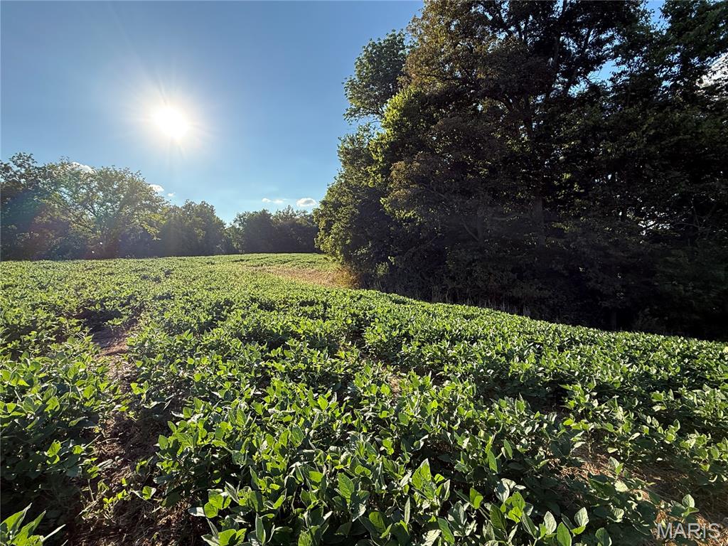 0 Mm Road Red Bud, IL 62278 - Photo 40 of 43