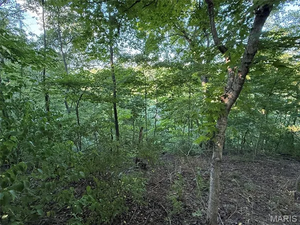 $520,000 | 0 Mm Road, Red Bud, IL 62278