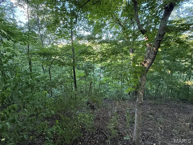 $520,000 | 0 Mm Road, Red Bud, IL 62278