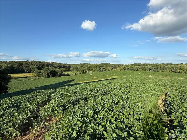 $520,000 | 0 Mm Road, Red Bud, IL 62278