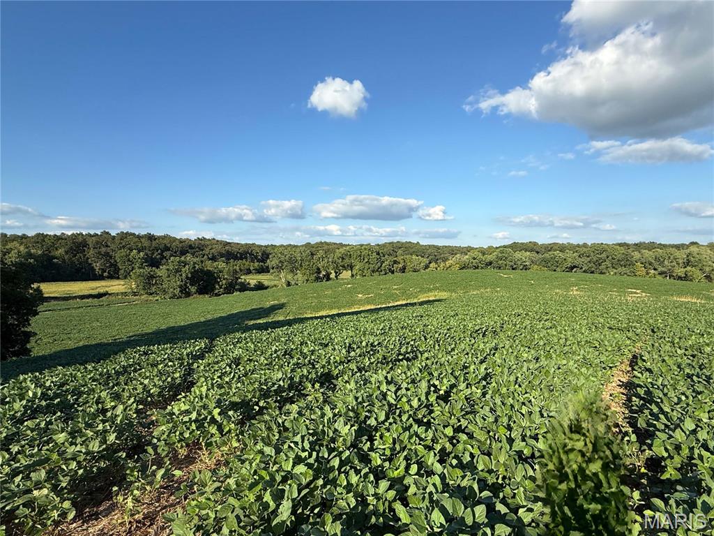 0 Mm Road Red Bud, IL 62278 - Photo 41 of 43