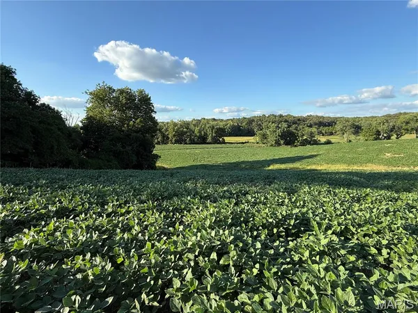 $520,000 | 0 Mm Road, Red Bud, IL 62278