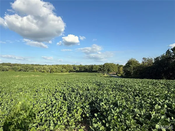 $520,000 | 0 Mm Road, Red Bud, IL 62278