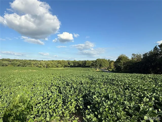 $520,000 | 0 Mm Road, Red Bud, IL 62278