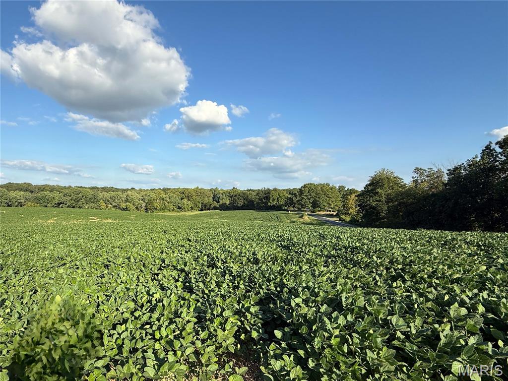 0 Mm Road Red Bud, IL 62278 - Photo 5 of 43