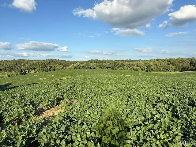 $520,000 | 0 Mm Road, Red Bud, IL 62278