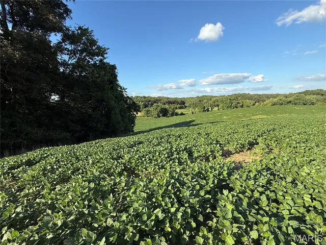 $520,000 | 0 Mm Road, Red Bud, IL 62278