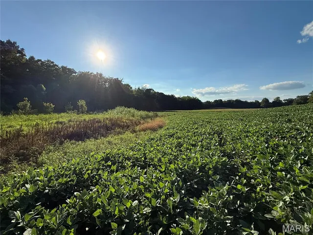 $520,000 | 0 Mm Road, Red Bud, IL 62278