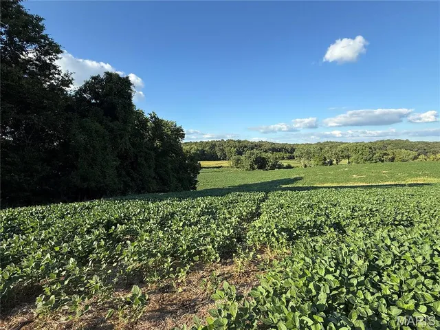 $520,000 | 0 Mm Road, Red Bud, IL 62278