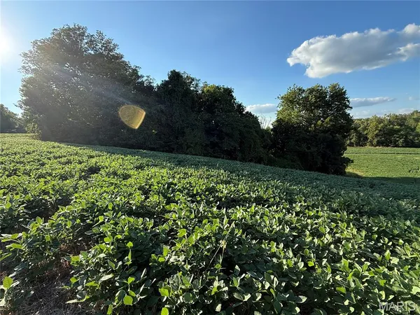 $520,000 | 0 Mm Road, Red Bud, IL 62278
