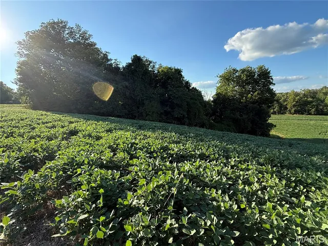 $520,000 | 0 Mm Road, Red Bud, IL 62278