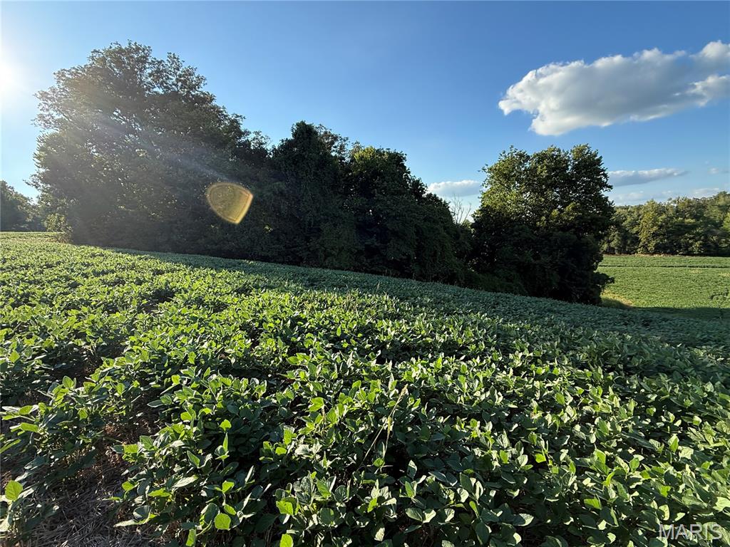 0 Mm Road Red Bud, IL 62278 - Photo 10 of 43