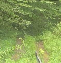 9999 Knack Branch Jackson, KY 41339 - Photo 9 of 24 Must have 4 wheel drive to get to the pr